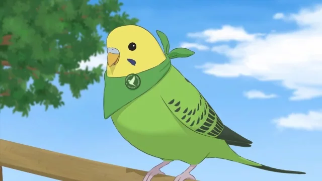 Разноцветные попугаи 2 смотреть онлайн